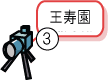 Cuf